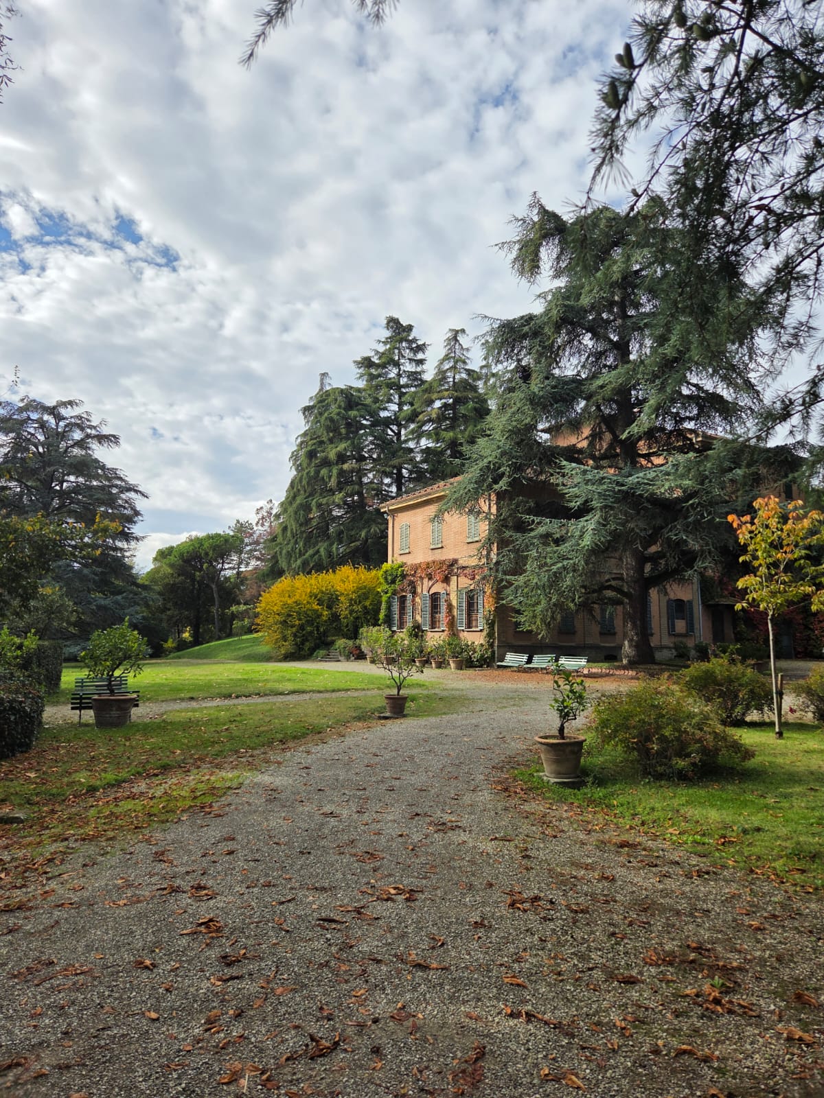 Azienda Agricola Tizzano